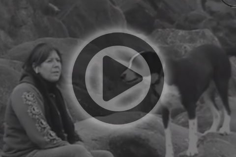 Sound Of Silence - Lil Debs 2016